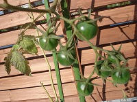 DSC00177.jpg
