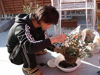 DSC00257.jpg