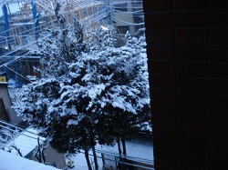 DSC00438.jpg