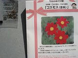DSC00683.jpg