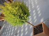 DSC00705.jpg