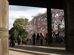 DSC00857.jpg
