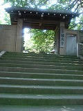 DSC01178.jpg