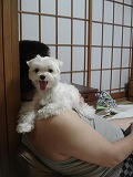 DSC01384.jpg