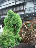 DSC01510.jpg