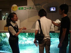 DSC01562.jpg