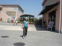 DSC01665.jpg