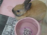 DSC01671.jpg