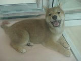 DSC01673.jpg