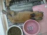 DSC01675.jpg