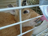 DSC01676.jpg