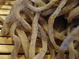 DSC01748.jpg