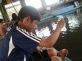 DSC01809.jpg