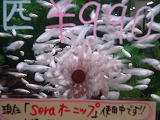 DSC02327.jpg