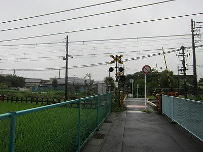 IMG_0422.jpg