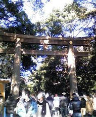 torii.jpg