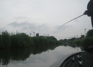 IMG_8035.JPG