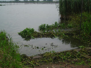 IMG_8194.JPG