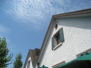 IMG_8838.JPG
