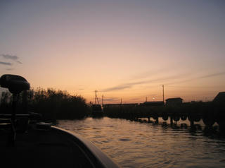 IMG_9346.JPG