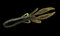 675a97d4.jpg