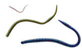 81bb9d74.jpg