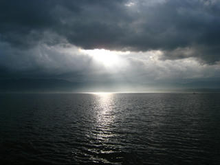 IMG_9916.JPG