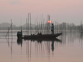 IMG_2536.JPG