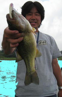 IMG_2545.JPG