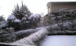 080213_0745~0001.jpg