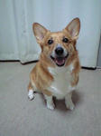 080305_1857~0001.jpg