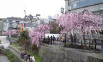 b0267aa9.JPG