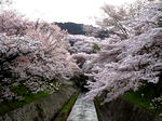 CA3905770011.jpg