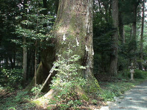 DSC06629.JPG