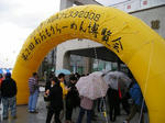 37ed3489.jpg