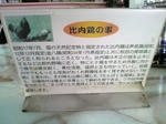 P1001112.jpg