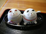 IMGP5070.JPG