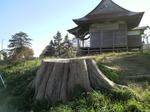P1005005.JPG