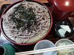 syosetuan-zaru.jpg