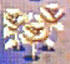 gold-rose.jpg