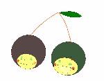 newimage10.gif