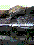 1.GIF