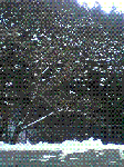 2.GIF
