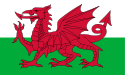 125px-Flag_of_Wales_2_svg.png