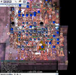 07071809.JPG