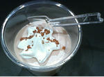 20090108_03.jpg