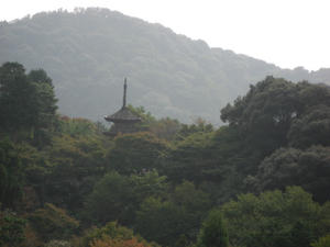 IMG_0071.JPG
