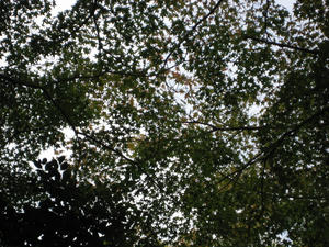 IMG_0073.JPG