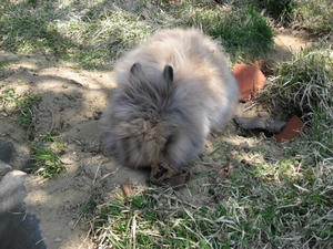 IMG_0039.jpg