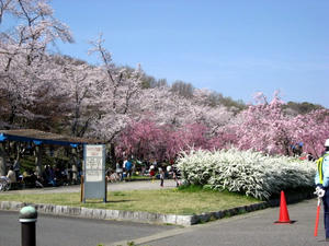 7a7d0438.jpg
